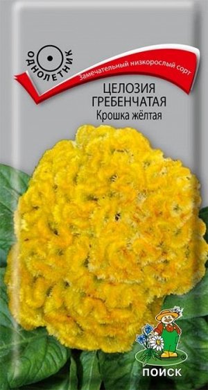 Целозия Гребенчатая Крошка Желтая (Код: 73839)