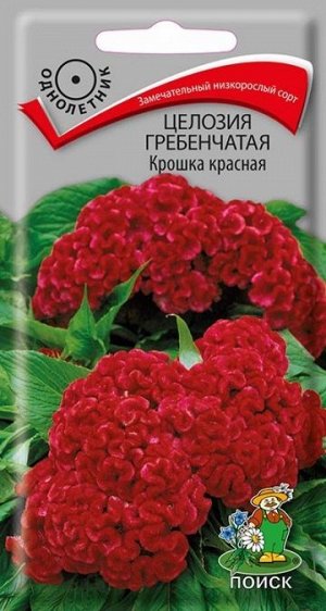 Целозия Гребенчатая Крошка Красная (Код: 73840)