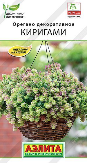 Орегано декоративное Киригами (Код: 89544)