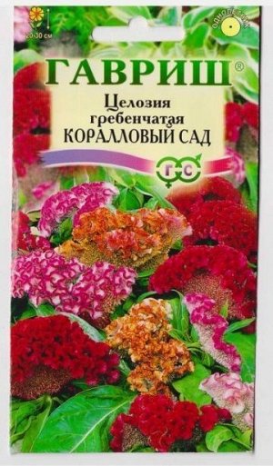 Целозия Коралловый сад (Код: 70966)