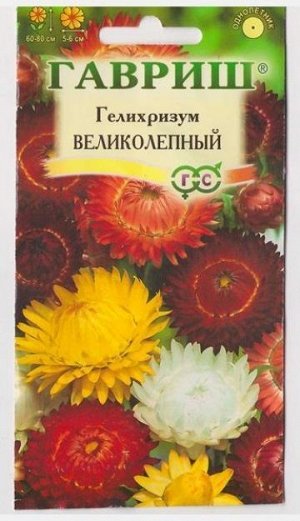 Гелихризум Великолепный смесь (Код: 9894)