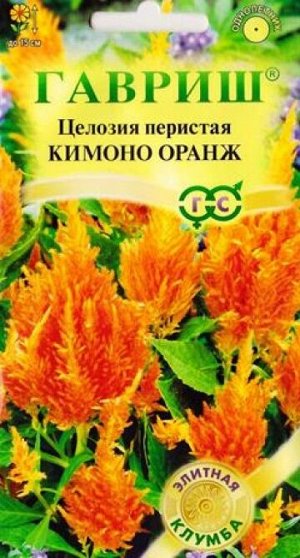 Целозия Перистая Кимоно Оранж (Код: 82724)