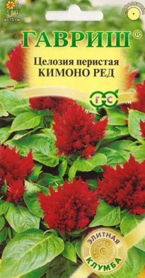 Целозия Перистая Кимоно Ред (Код: 87020)