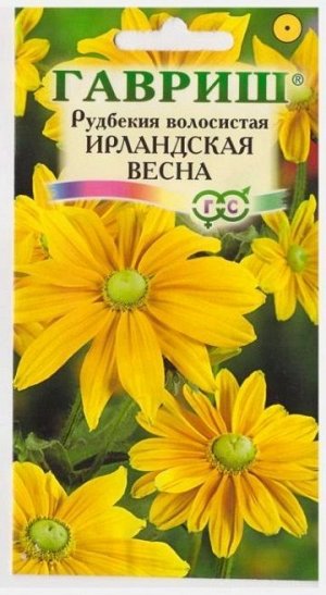 Рудбекия Ирландская весна (Код: 11638)