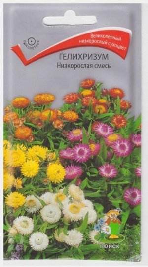 Гелихризум Низкорслая смесь (Код: 65724)