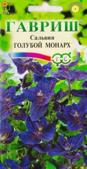 Сальвия Голубой монарх (Код: 14535)