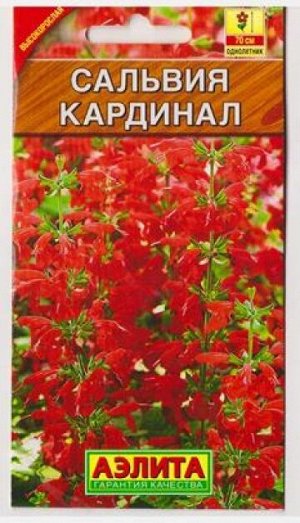 Сальвия Кардинал (Код: 81720)