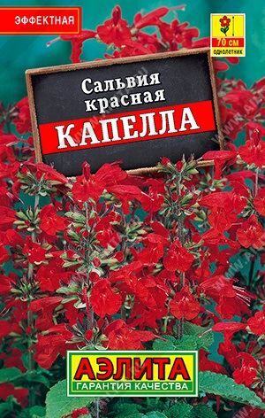 Сальвия красная Капелла лидер (Код: 89700)