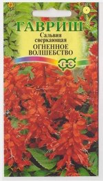 Сальвия Огненное волшебство (Код: 11280)