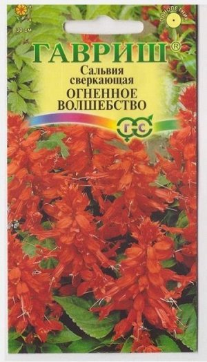 Сальвия Огненное волшебство (Код: 11280)