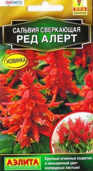 Сальвия Ред Алерт (Код: 86790)