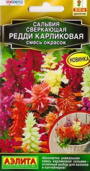 Сальвия Редди карликовая смесь (Код: 86788)