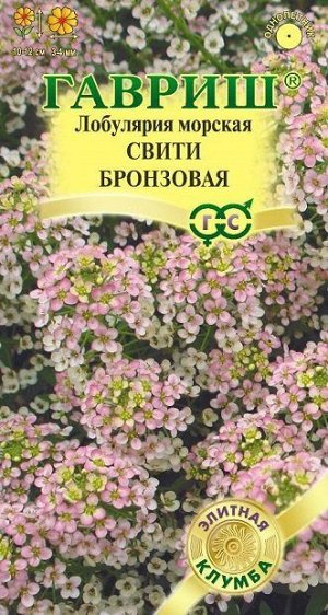 Лобулярия Свити бронзовая (Код: 89632)