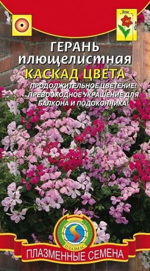 Герань плющелистная Каскад цвета (Код: 75852)