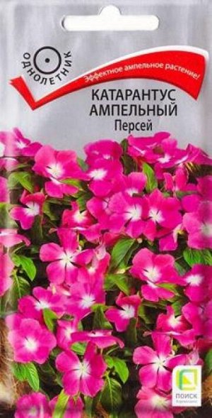 Катарантус Персей (Код: 86245)