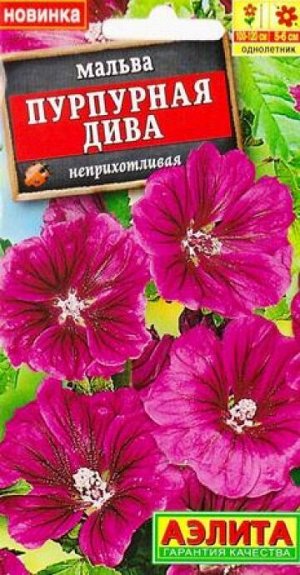 Мальва Пурпурная Дива (Код: 82616)
