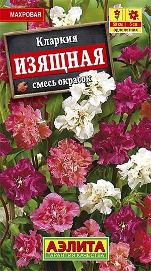 Кларкия Изящная (смесь) (Код: 6689)