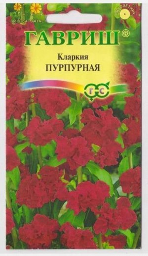 Кларкия Изящная Пурпурная (Код: 67534)