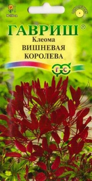 Клеома Вишневая королева (Код: 14934)