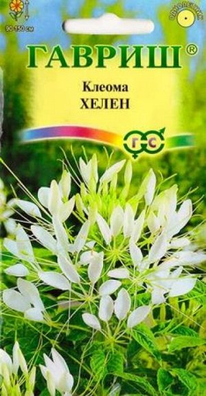 Клеома Хелен (Код: 14937)