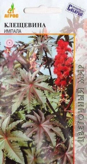 Клещевина Импала (Код: 82806)