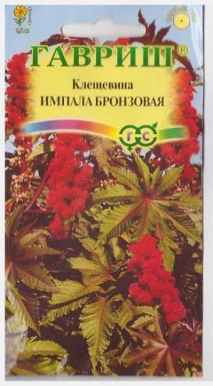 Клещевина Импала бронзовая (Код: 10032)
