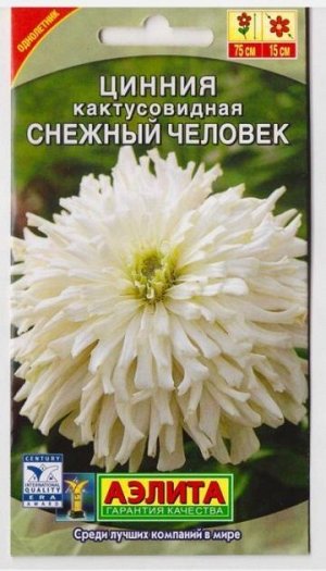 Цинния Снежный человек кактус (Код: 9731)