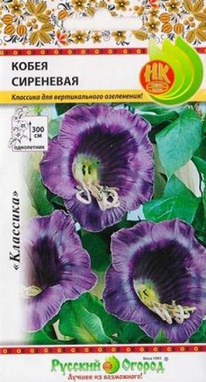 Кобея Сиреневая (фиолетовая) (Код: 1023)