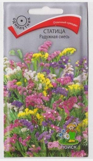 Статица Радужная смесь (Код: 65840)
