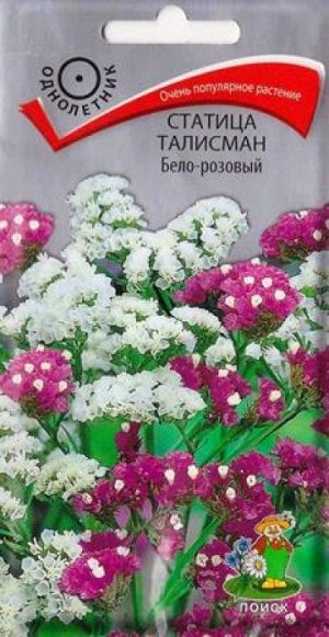 Статица Талисман Бело-розовый (Код: 84383)