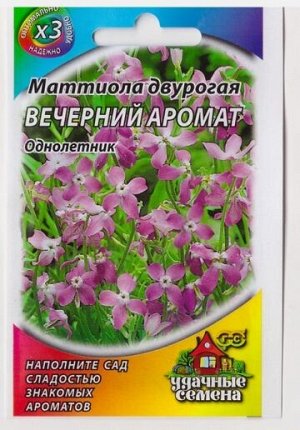 Маттиола Вечерний аромат (Код: 77709)