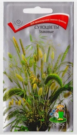 Сухоцветы Злаковые (Код: 66930)