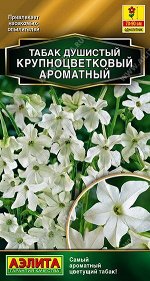 Табак Ароматный (Код: 89559)