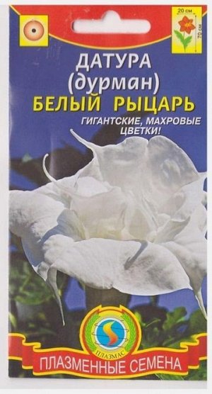 Датура (дурман) Белый рыцарь (Код: 75873)