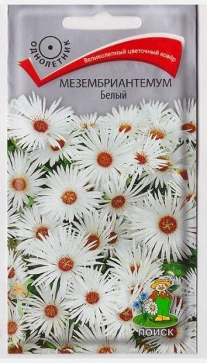 Мезембриантемум Белый (Код: 2144)