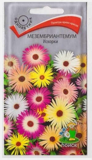 Мезембриантемум Искорки (Код: 13511)