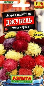 Астра Джувель Смесь сортов (Код: 89048)