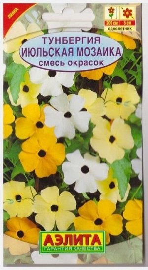 Тунбергия Июльская мозаика смесь окрасок (Код: 76228)