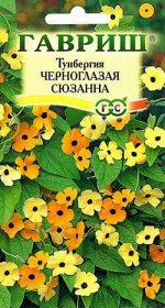 Тунбергия Черноглазая Сюзанна (Код: 9921)