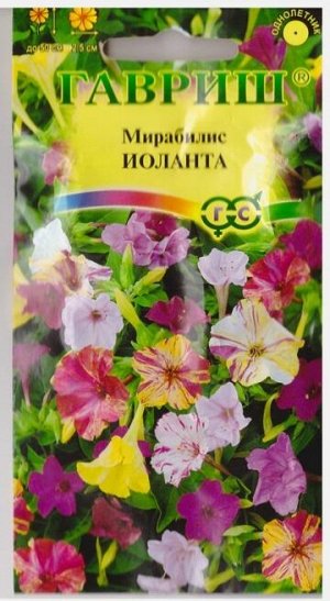 Мирабилис Иоланта (Код: 71825)
