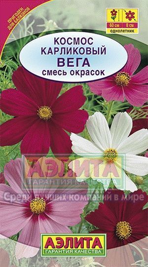 Космея Вега карликовый (Код: 14733)