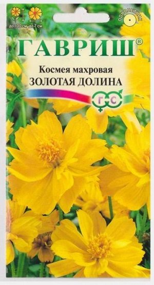 Космея Золотая долина (Код: 73579)