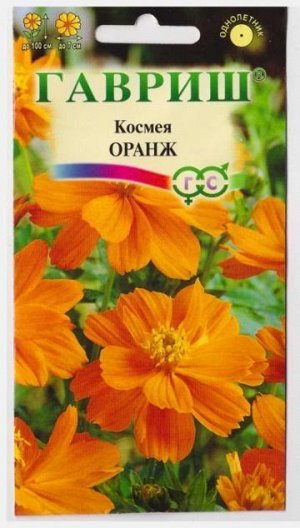 Космея Оранж махровая (Код: 67253)