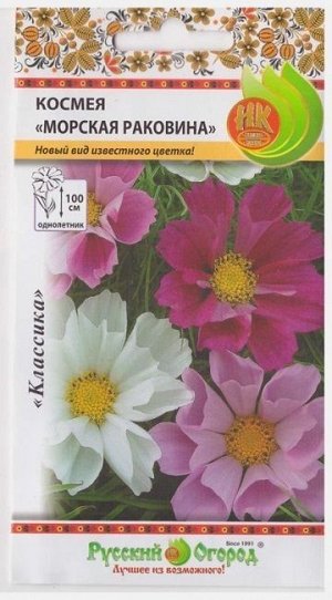 Космея Морская раковина (Код: 517)