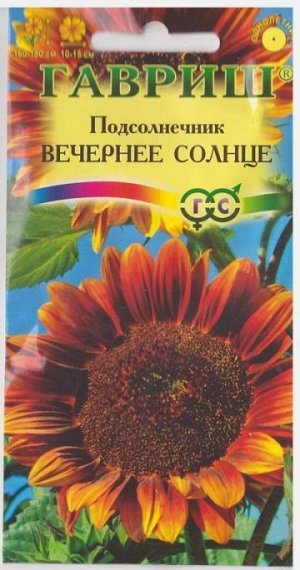 Подсолнечник Вечернее Солнце (Код: 10256)