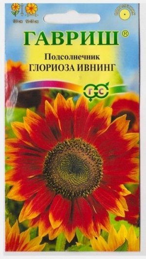 Подсолнечник Глориоза Ивнинг (Код: 14948)