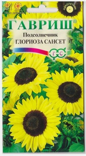 Подсолнечник Глориоза Сансет (Код: 9756)