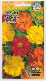 Космея Рыжик (Код: 15672)