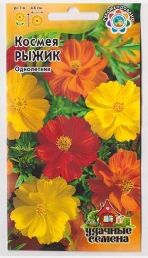Космея Рыжик (Код: 15672)
