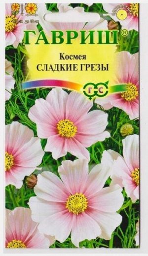 Космея Сладкие Грезы (Код: 10785)